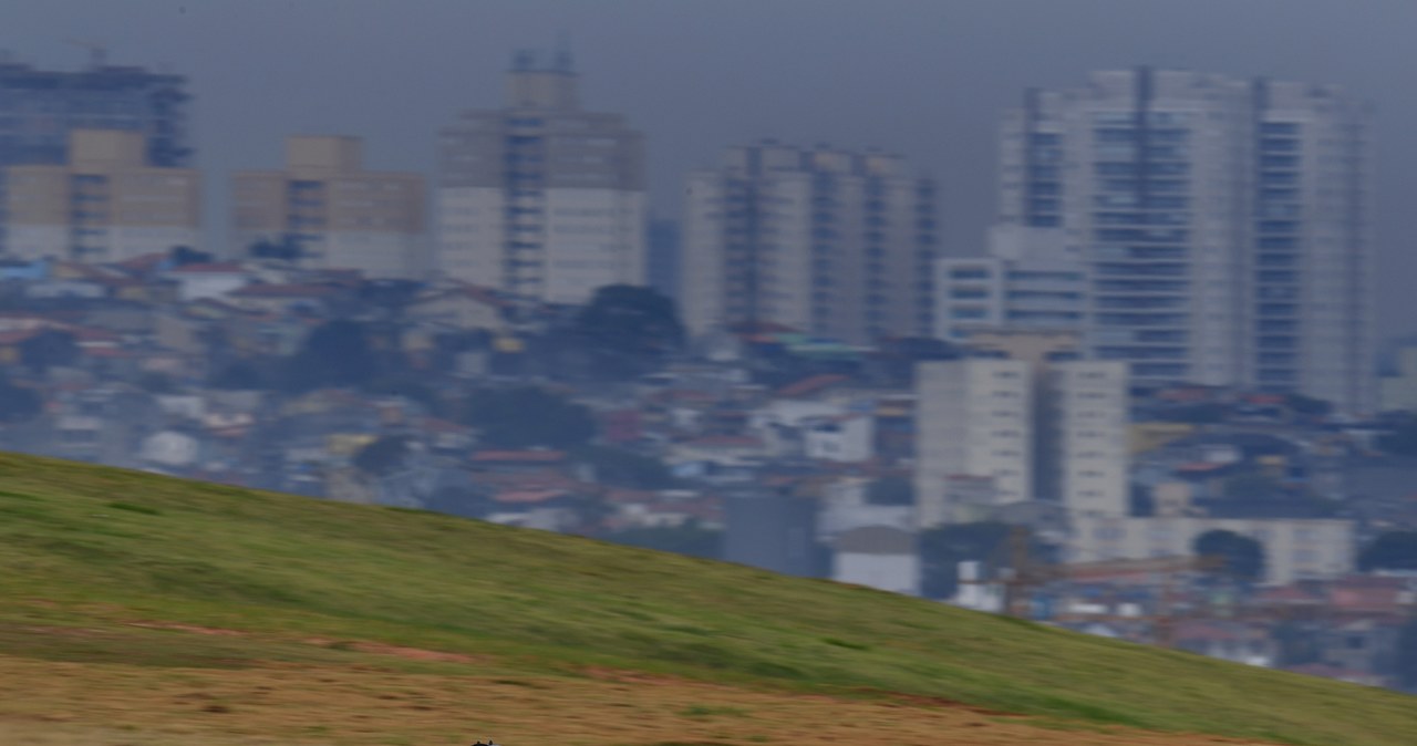 Do tej pory zawody rozgrywano w Sao Paulo /Getty Images