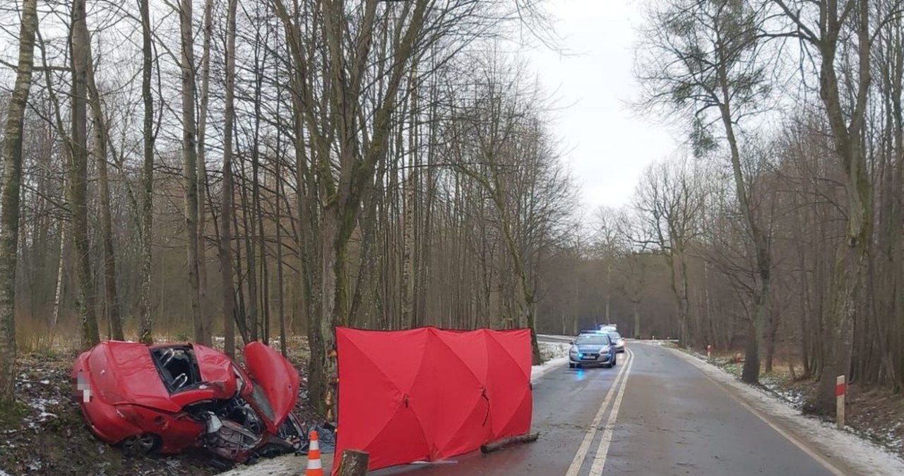 Do tragedii doszło w Pomorskiej Wsi pod Elblągiem. W wypadku zginęło dwóch pasażerów Peugeota 307 CC /Informacja prasowa