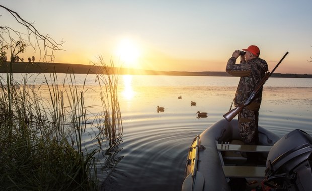 ​Do tych ptaków myśliwi nie będą mogli strzelać. 7 gatunków na liście