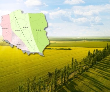 Do upału coraz bliżej. Pogoda coraz cieplejsza