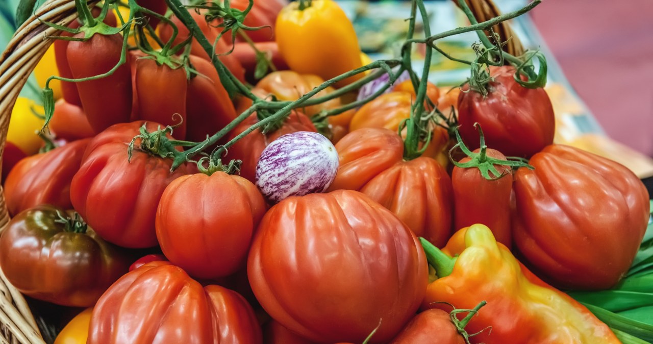 Do warzyw psiankowatych zaliczamy m.in. pomidory i paprykę /123RF/PICSEL