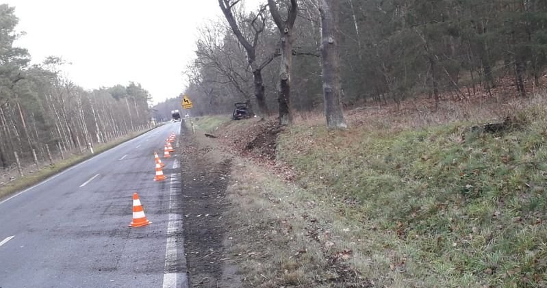 Do wypadku doszło na prostym odcinku drogi /Policja