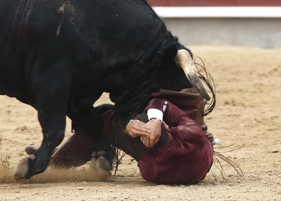 Krwawa corrida. Byk rozerwał jądro torreadorowi