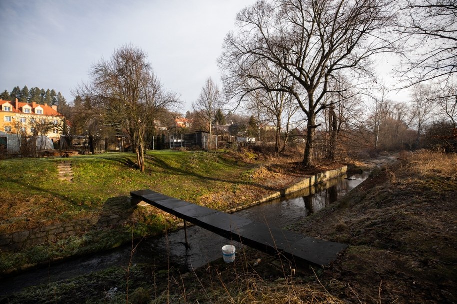 Do zbrodni doszło w poniedziałek w pobliżu szkoły podstawowej nr 10 w Jeleniej Górze /Krzysztof Ćwik /PAP