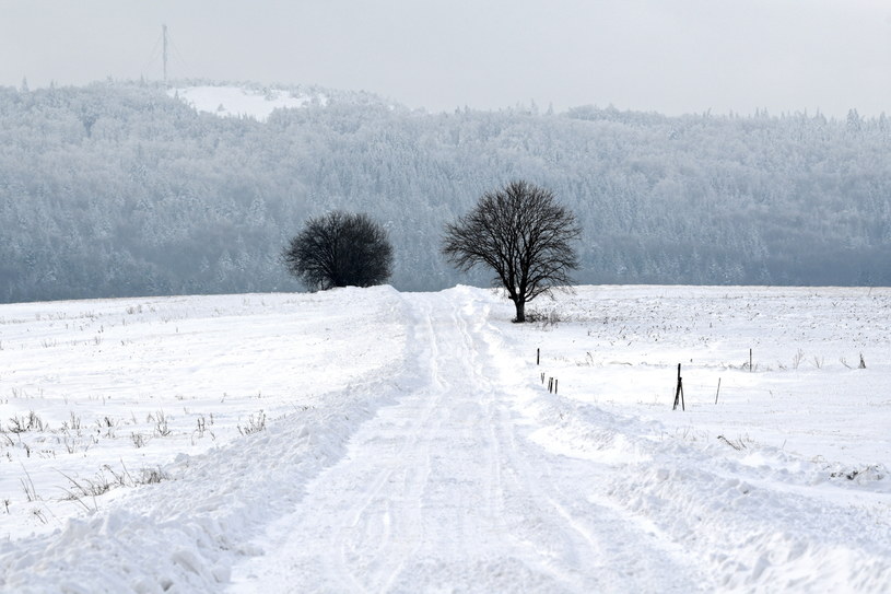 Do zderzenia doszło na zaśnieżonej drodze (fot. ilustracyjne) /Darek Delmanowicz /PAP