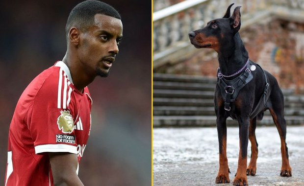 Doberman za ponad 140 tys. zł. Alexander Isak reaguje na pogróżki kibiców
