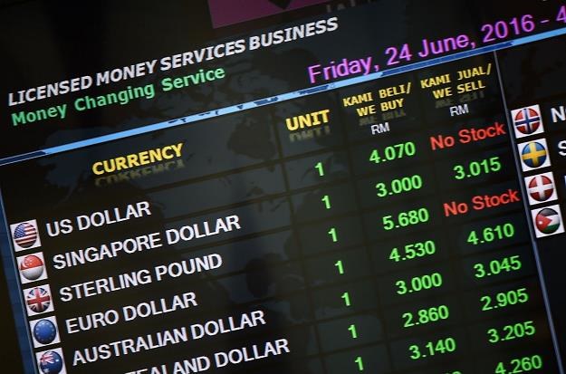 Dobre perspektywy dla złotówki na rynkach walutowych? /AFP