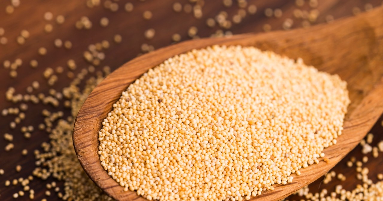 Dobrej jakości biały mak to podstawa nadzienia najlepszych rogali świętomarcińskich. /123RF/PICSEL                 /123RF/PICSEL