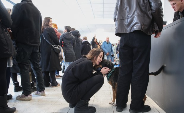 ​"Dobro unosiło się w powietrzu". Długa kolejka po psa w schronisku