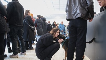 ​"Dobro unosiło się w powietrzu". Długa kolejka po psa w schronisku