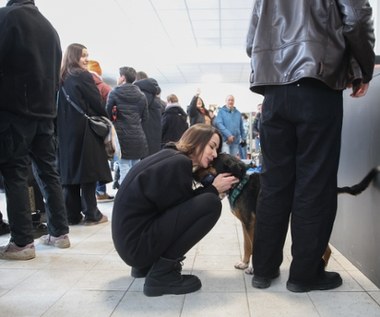 ​"Dobro unosiło się w powietrzu". Długa kolejka po psa w schronisku