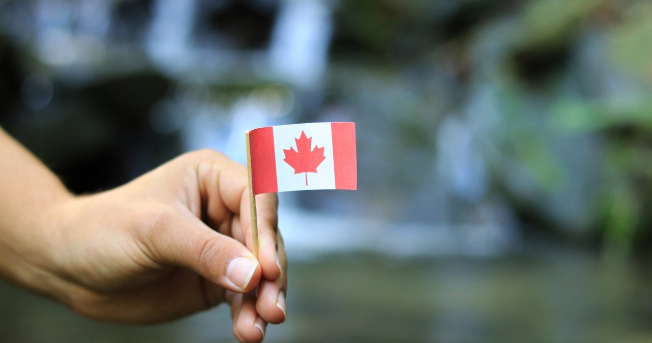Dochód gwarantowany to prawie 600 tys. nowych miejsc pracy w Kanadzie /123RF/PICSEL