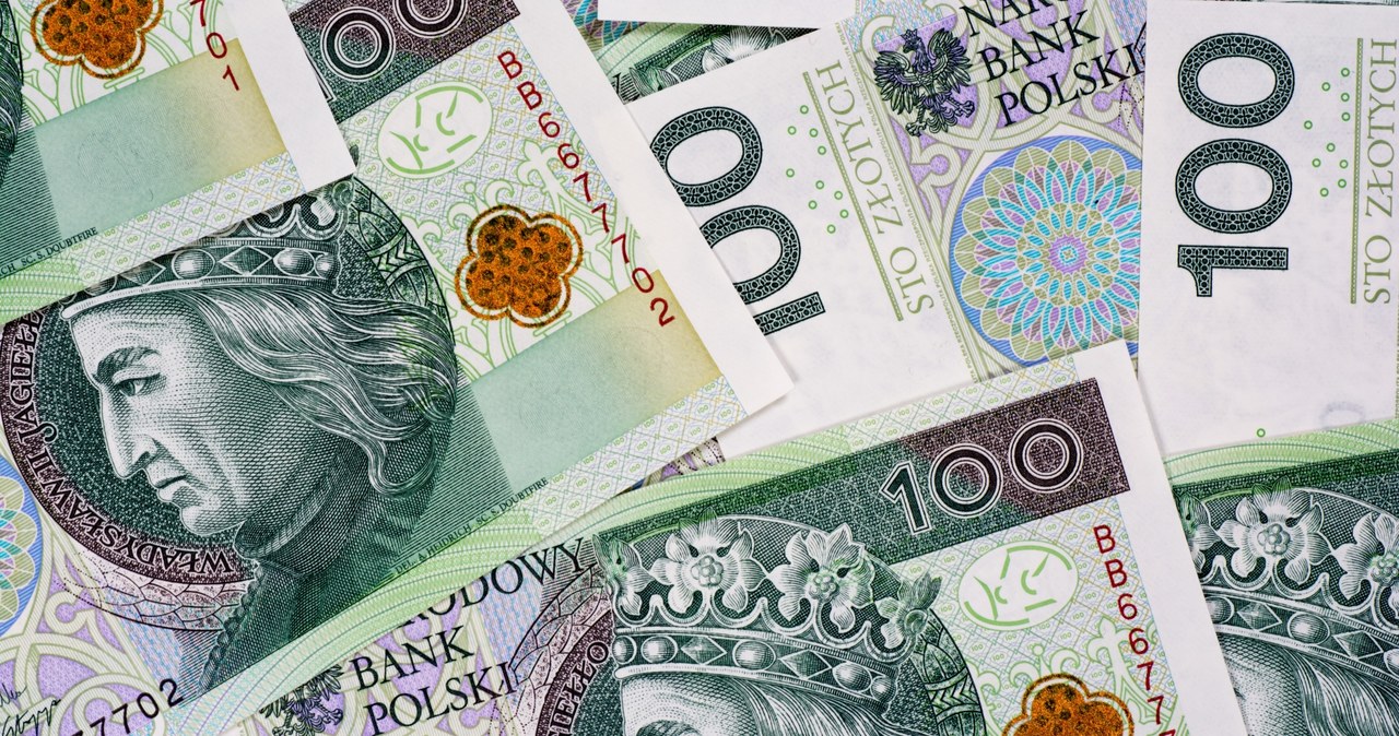 Dodatek emerytalny na psa. Wypłacają 280 zł miesięcznie /tarczas /123RF/PICSEL