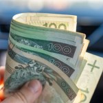 Pracownicze Plany Kapitałowe