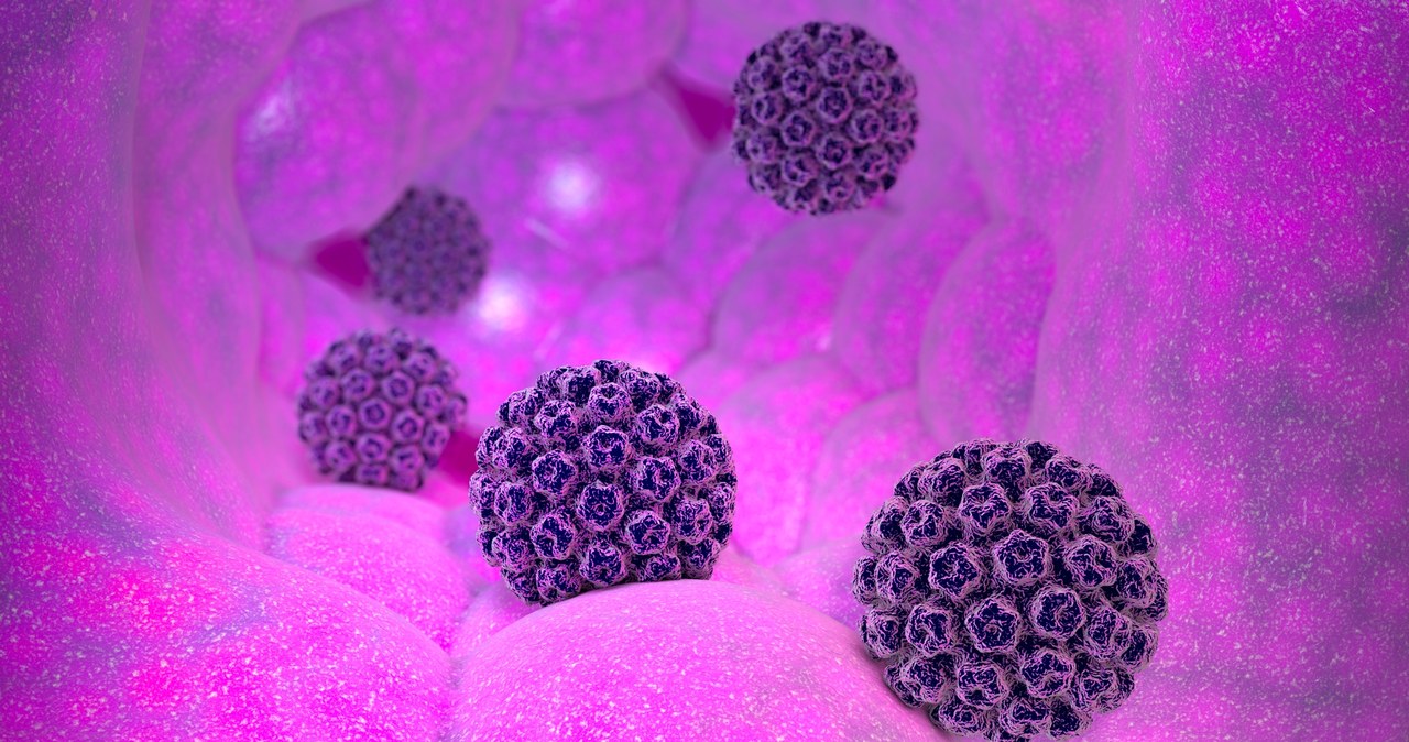 Dodatni wynik testu w kierunku HPV nie jest równoznaczny z chorobą nowotworową /123RF/PICSEL