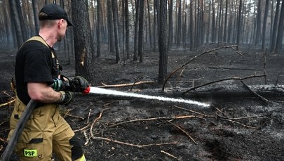 Dogaszanie pogorzeliska w Puszczy Solskiej. W akcji drony z termowizją i śmigłowce