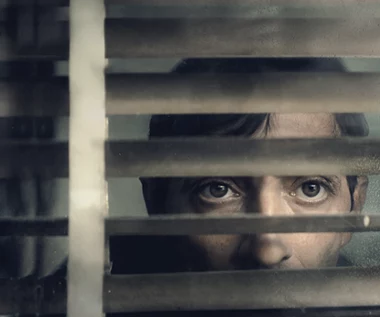 "Dogman" [trailer]
