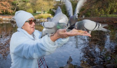 Dokarmiać ptaki czy nie? Badania pokazują coś niepokojącego