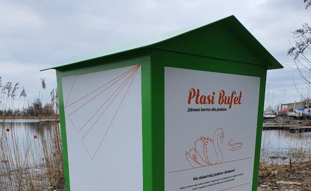 Dokarmiaj ptaki z głową, dzięki ptasim bufetom