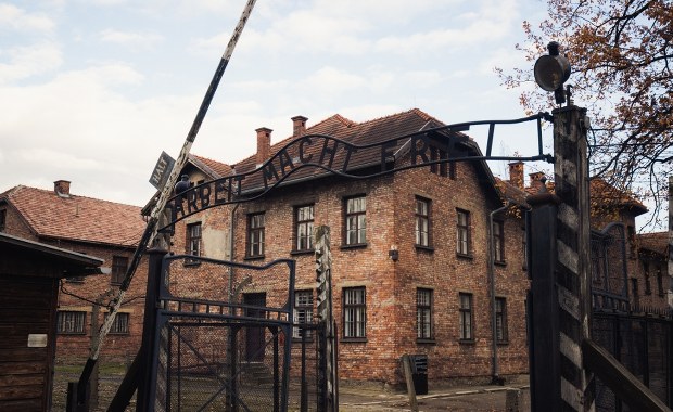​Dokumenty z Auschwitz znikają. "Domy aukcyjne nie kierują się moralnością"