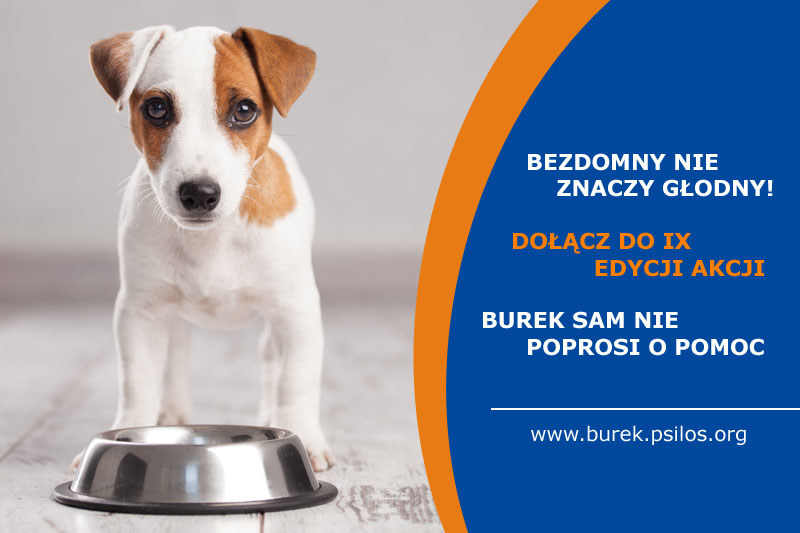 Dołącz do akcji "Burek sam nie poprosi o pomoc" /materiał partnera