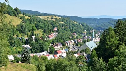 Dolar nie powstał w Ameryce! Kolebka światowej waluty leży niedaleko polskiej granicy