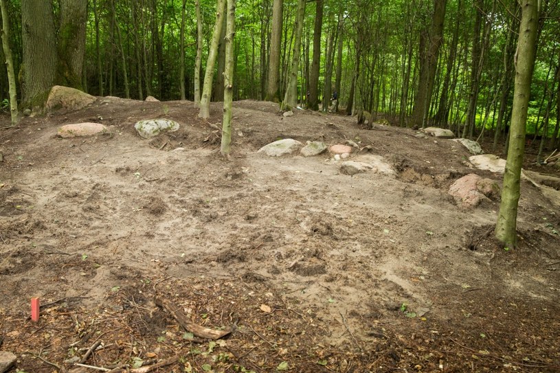 Dolice, 21.08.2017. Miejsce prac archeologicznych /Jerzy Muszyński /PAP