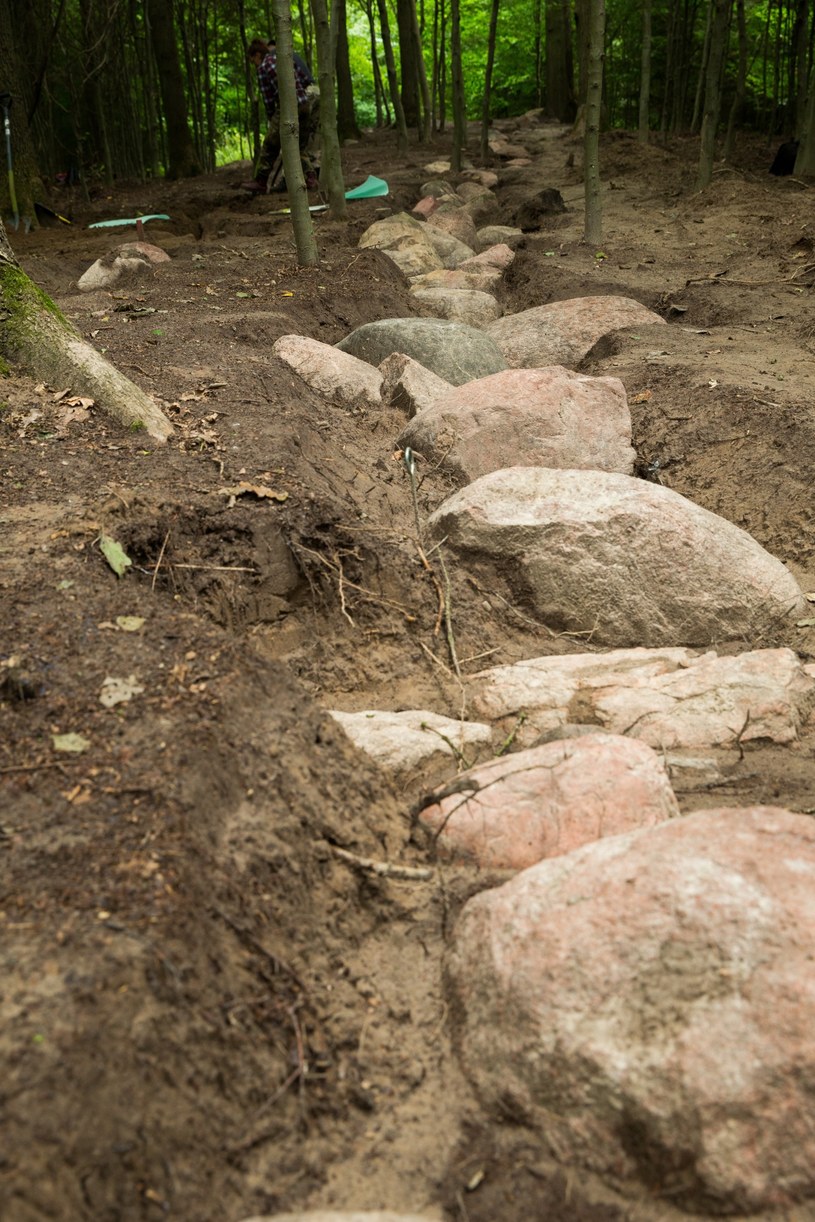 Dolice, 21.08.2017. Miejsce prac archeologicznych /Jerzy Muszyński /PAP