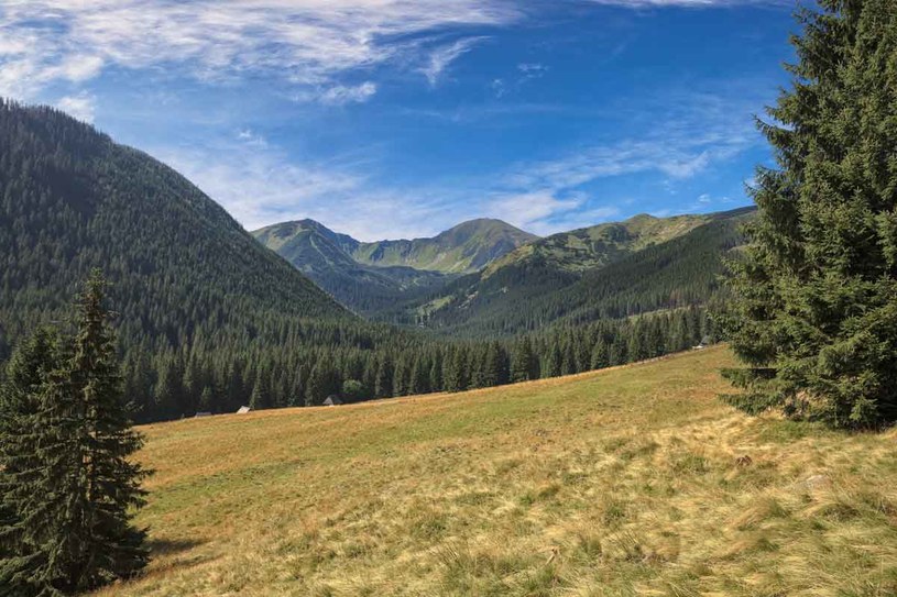 Dolina Chochołowska. Najdłuższa i największa dolina w polskich Tatrach. Znajduje się na terenie TPN, ale górale nadal mogą nią zarządzać i paść tu owce /123RF/PICSEL