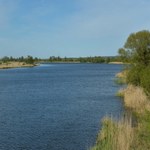 Dolina Dolnej Odry. Z 240 gatunkami ptaków i 460 gatunkami roślin
