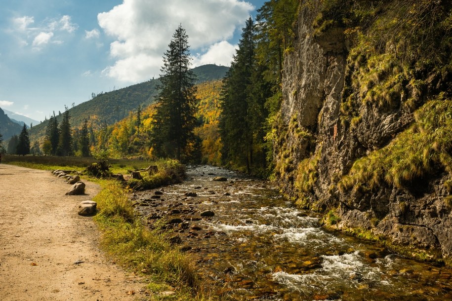 Dolina Kościeliska /Shutterstock