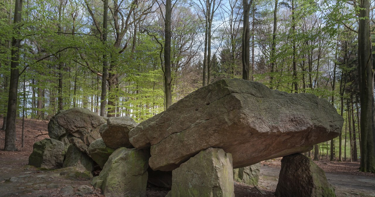 Dolmen w pobliżu Osnabrück, Niemcy /nowhereman01 /123RF/PICSEL