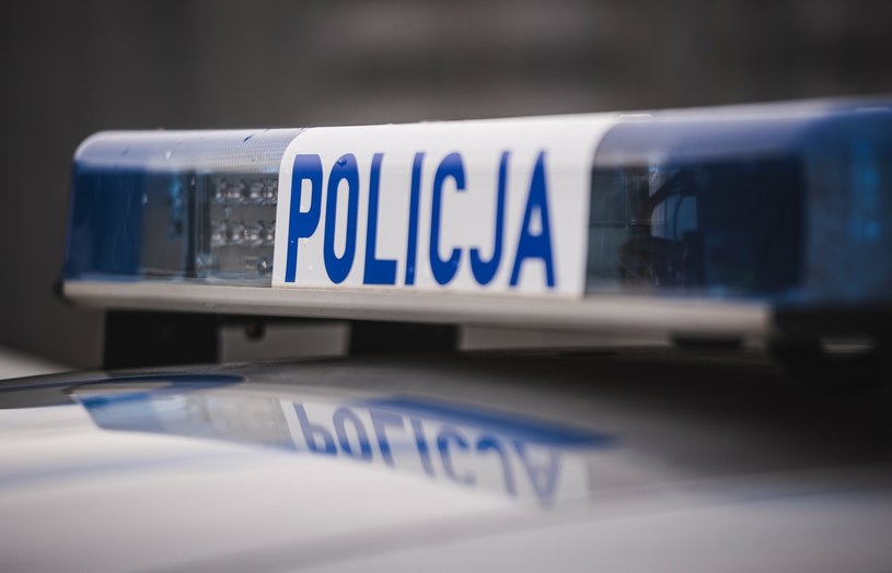 Dolnośląscy policjanci mają sprawdzać, czy kierowcy korzystają z telefonów w czasie jazdy. /Karol Makurat/REPORTER /East News