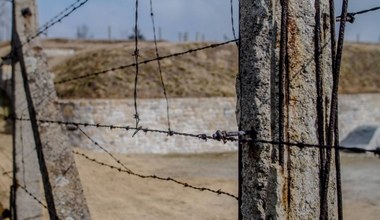 Dolnośląskie: Na terenie byłego niemieckiego obozu znaleziono szczątki 92 ofiar