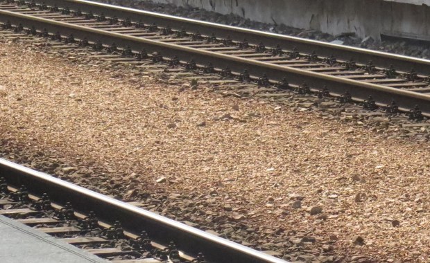 Dolnośląskie: Śmiertelne potrącenie przez pociąg. Zginęła matka z dzieckiem