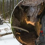 Dolny Śląsk: Powalone drzewo odsłoniło wejście. Eksplorator to zbadał