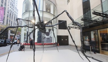Dom aukcyjny Sotheby’s sprzedał gigantycznego pająka. Cena? Prawie 33 mln dolarów