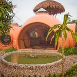 Dom marzeń za grosze: Steve Areen i jego tropikalna kopuła