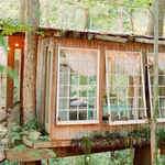Domek na drzewie najbardziej rozchwytywanym apartamentem na Airbnb
