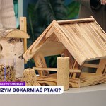 Dominik Strzelec o poprawnym dokarmianiu ptaków i... owocowych karmnikach 