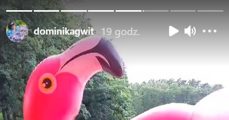 Dominika Gwit w stroju kąpielowym i z flamingiem   /https://www.instagram.com/dominikagwit/ /Instagram