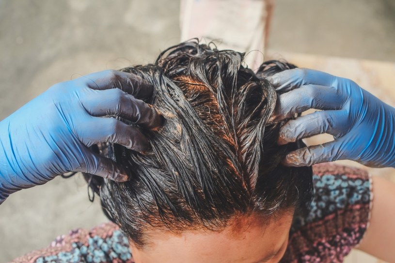 Domowa koloryzacja włosów henną jest czasochłonna, ale skuteczna /123RF/PICSEL