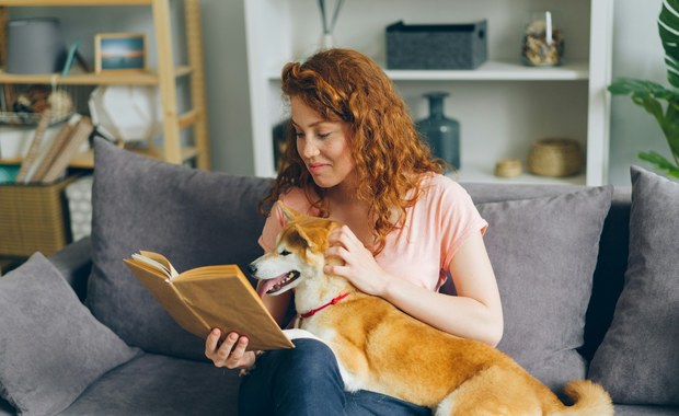Domowa opieka nad zwierzętami: Jak utrzymać rutynę i zapewnić psu komfort podczas Twojej nieobecności