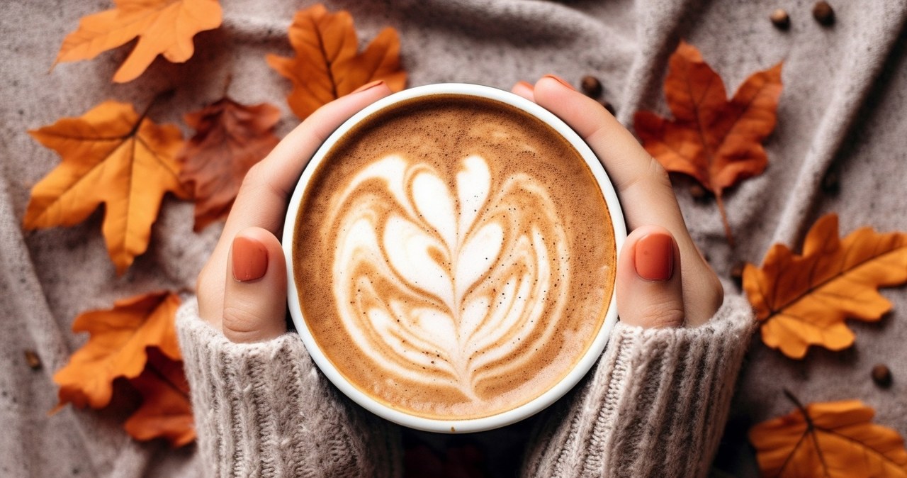 Domowa pumpkin spice latte przygotowana z puree z dyni to prosty przepis na zdrowy rytuał na jesień /123RF/PICSEL