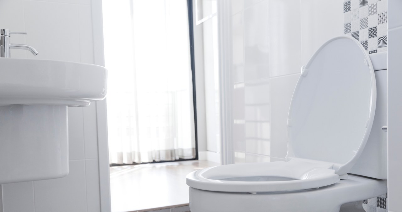 Domowe kostki do WC sprawią, że w naszej łazience będzie unosił się ładny zapach /  benaung