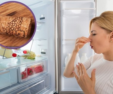 Domowe zero-waste: Włóż korek po winie do lodówki i poczuj różnicę