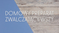 Domowy preparat zwalczający wszy - jak go zrobić?