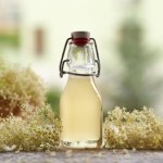 Domowy syrop z kwiatów czarnego bzu. Sprawdzony przepis na eliksir zdrowia