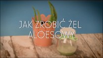 Domowy żel aloesowy - jak go zrobić?