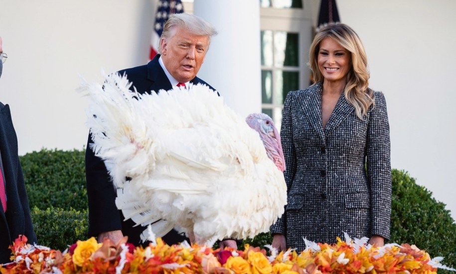 Donald i Melania Trump w towarzystwie indyka Corna /KEVIN DIETSCH / POOL /PAP/EPA